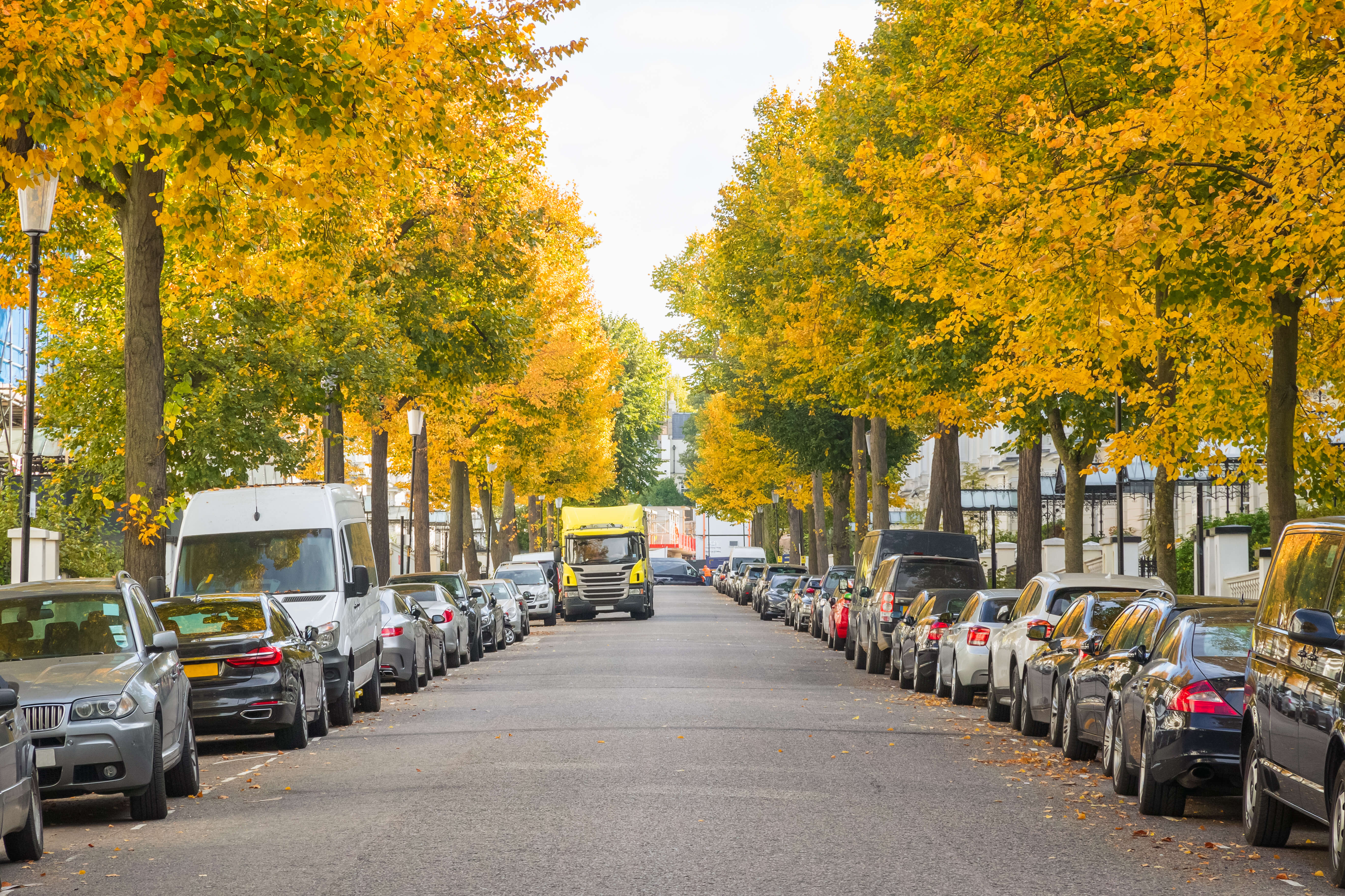 What is the most popular car in your area?